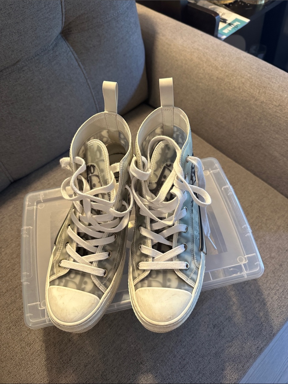 Dior B23 Oblique High Top Sneakers Gray